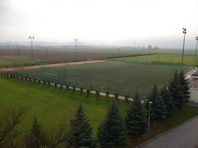 sztuczne (1)